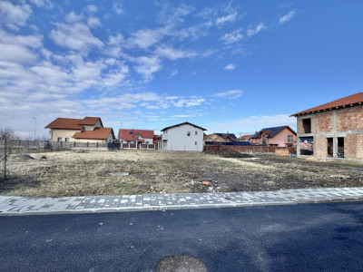 Teren Sanpetru Primaverii toate utilitatile