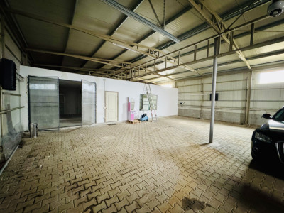 Hala Sanpetru, 220mp, poarta acces auto/tir