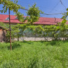 Casa in Prejmer, teren de 1440mp, garaj dublu, sura, beci-Comision 0 imaginea mica 43 Casa in Prejmer, teren de 1440mp, garaj dublu, sura, beci-Comision 0 thumb 43