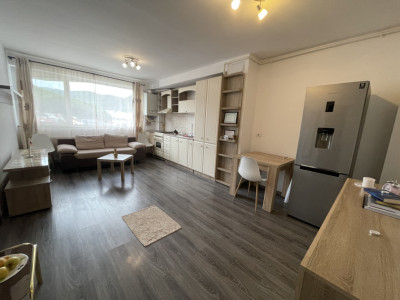 Apartament cu 2 camere studio AlphaVille Carpatilor