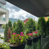 Brasov, Central, Dealul Morii Residence thumb 14