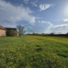 Teren 9500 mp plus Casa plus Anexe Gospodaresti thumb 5