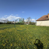 Teren 9500 mp plus Casa plus Anexe Gospodaresti thumb 6