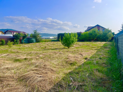 Teren Bod intravilan, Poiana Craitelor