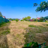 Teren Bod intravilan, Poiana Craitelor thumb 2